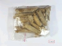 藏品(動物腿骨化石)的圖片